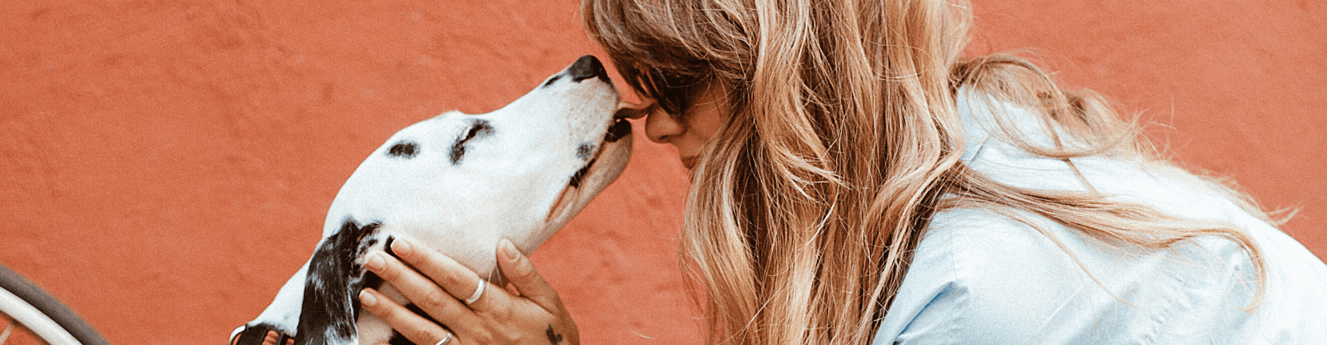 cani-gatti-allungano-vita
