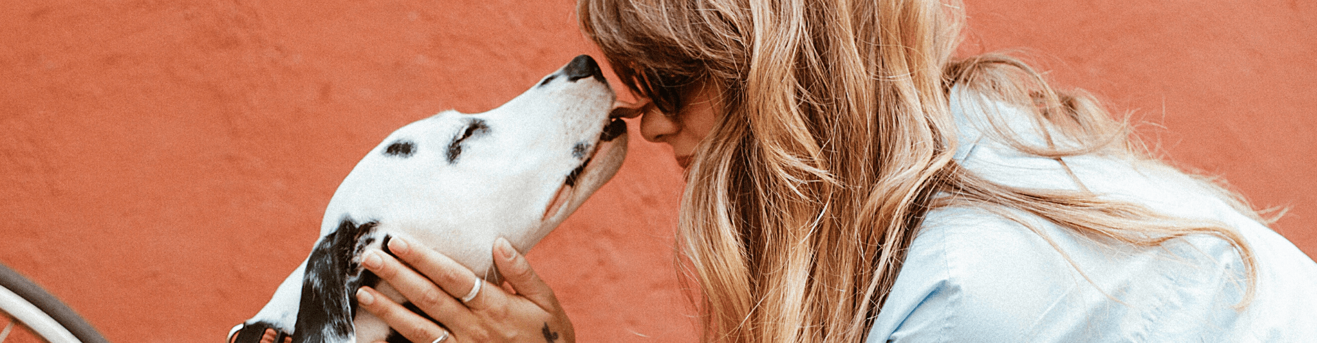 cani-gatti-allungano-vita